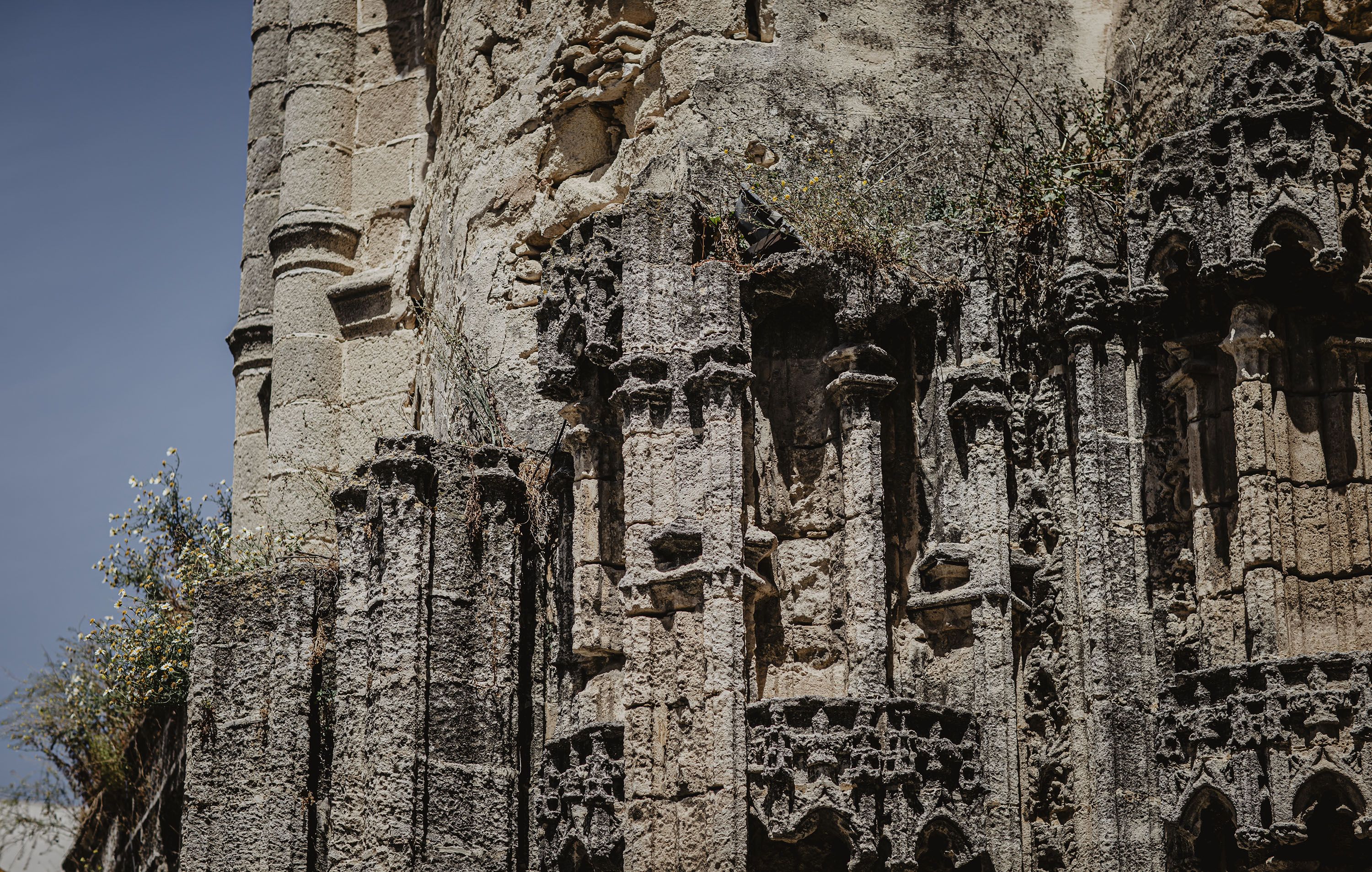 Algunos detalles del entorno. Algunos detalles del entorno.