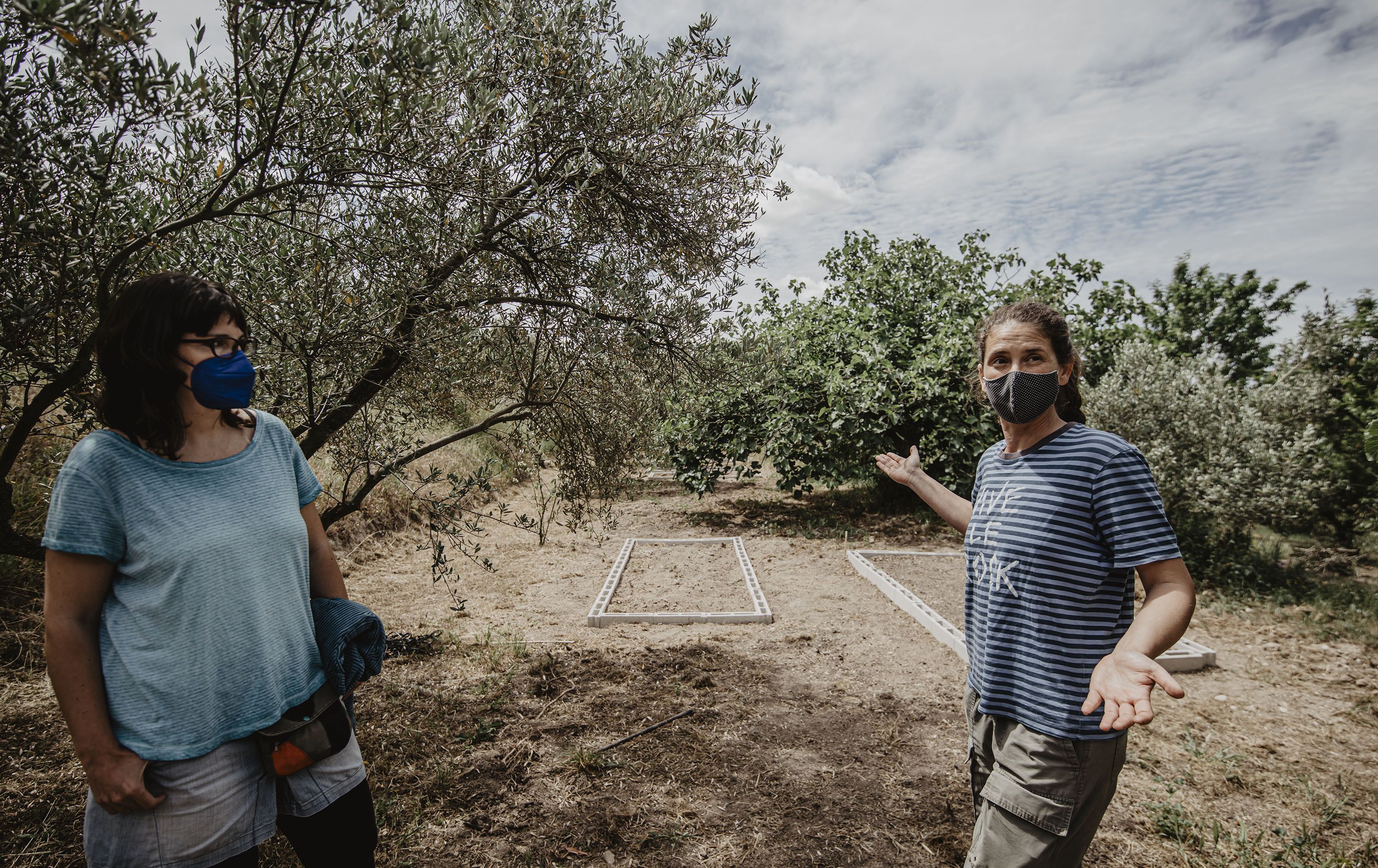 La buena siembra (Esteban)6