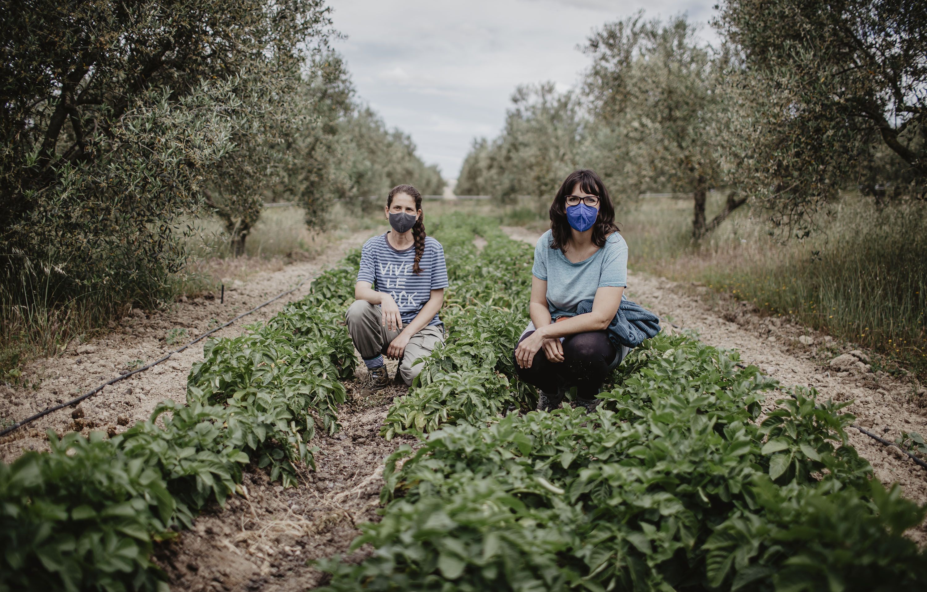 La buena siembra (Esteban)10