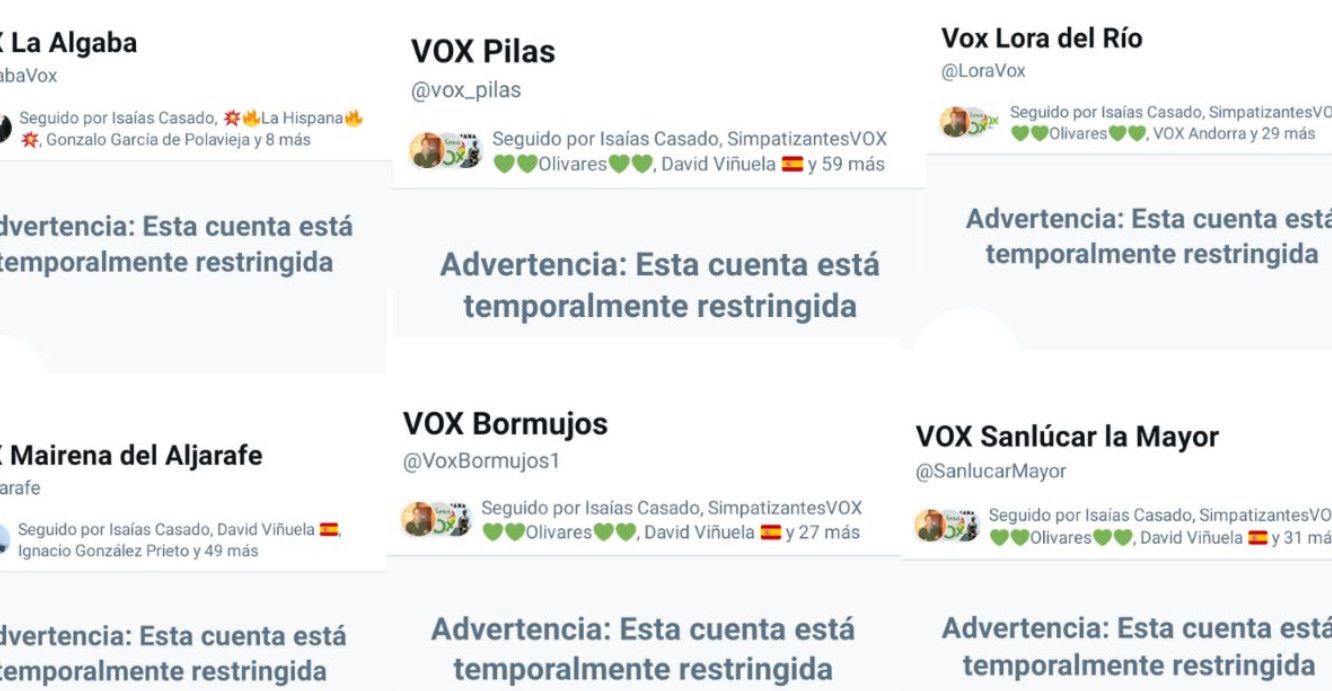 Cuentas de Twitter de Vox suspendidas en Sevilla.