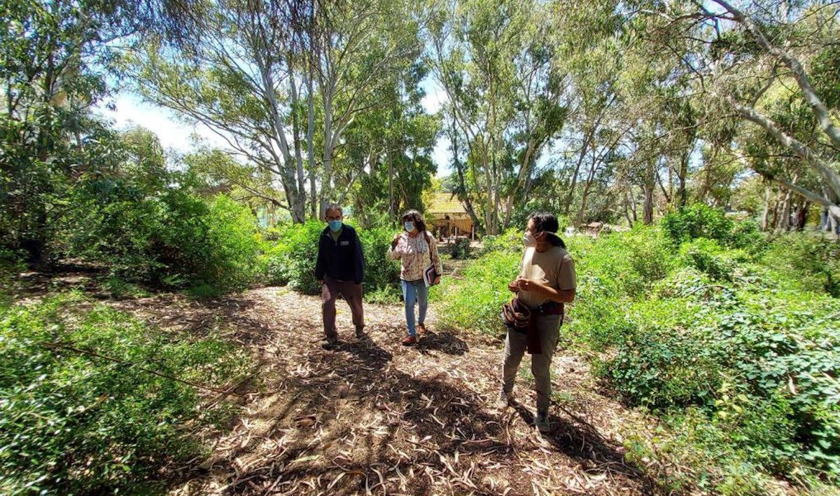 Exigen que el Pinar de La Dinamita en Sanlúcar sea declarado parque periurbano.