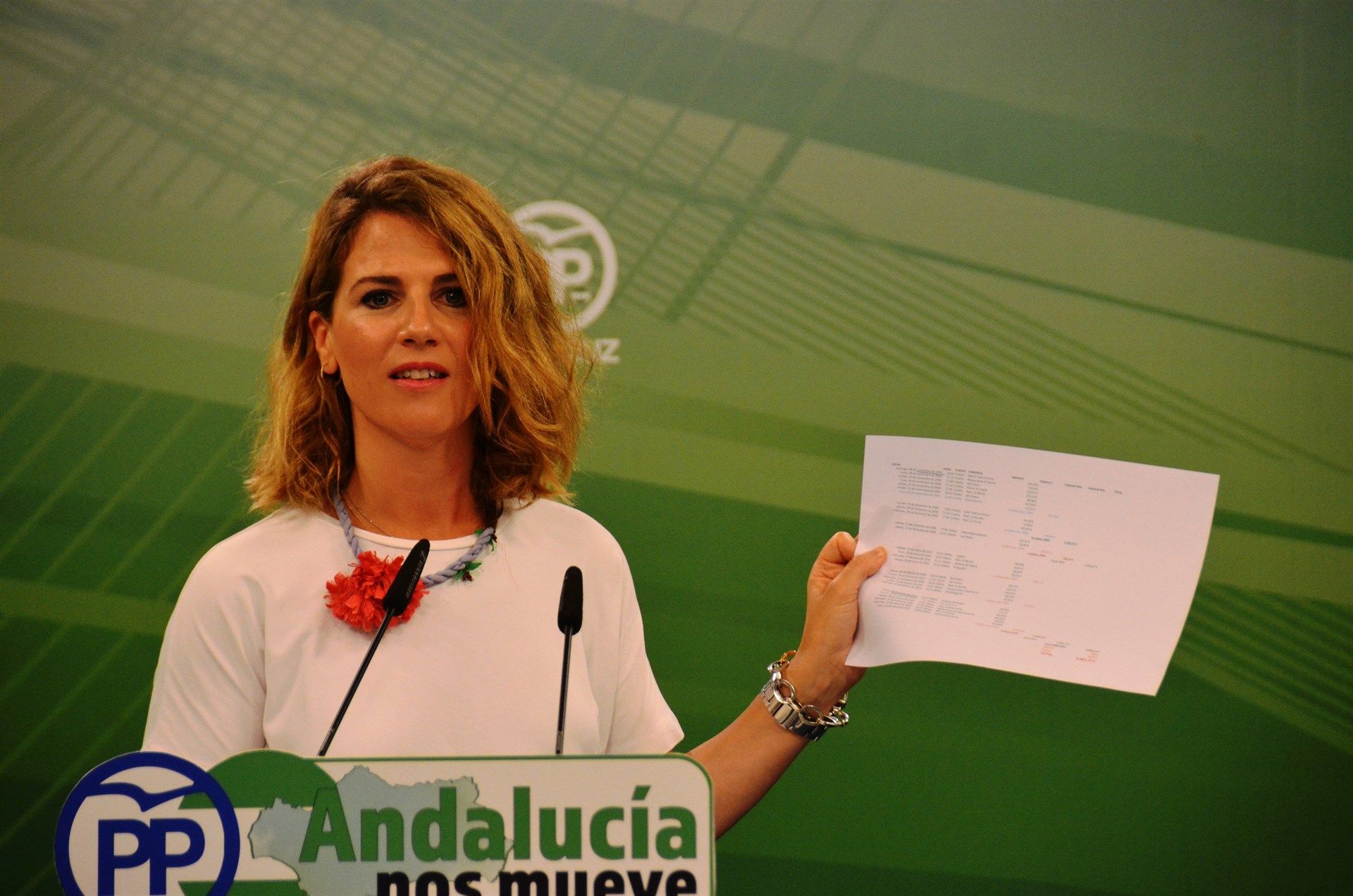 Ana Mestre, en rueda de prensa.