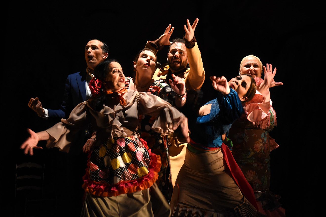 José Galán Flamenco Inclusivo en Teatro TNT.