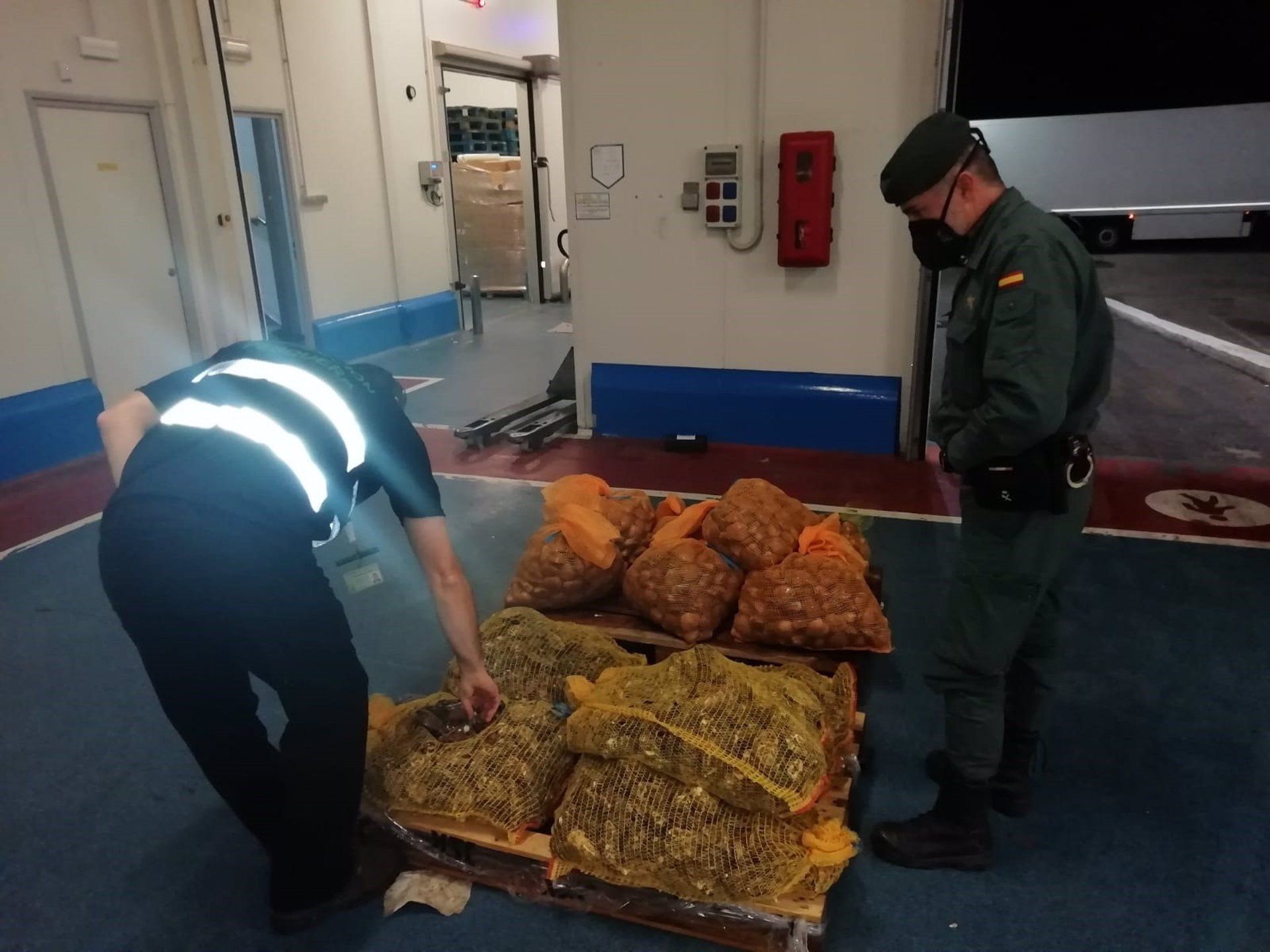 La Guardia Civil interviene casi 600 kilos de pescado y marisco no apto para el consumo en Jaén.