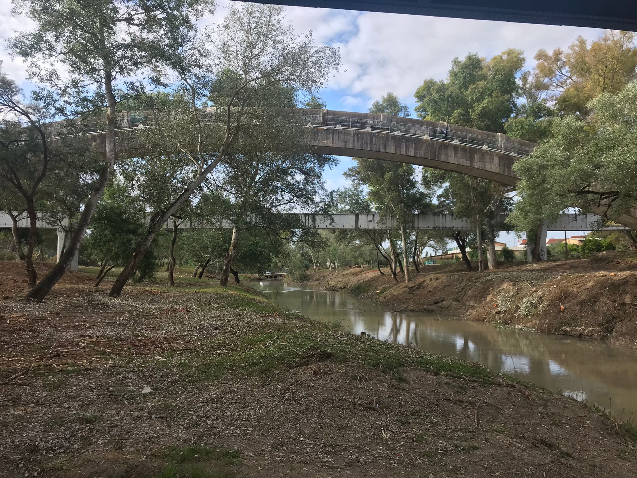 Zona que se ha limpiado en la ribera del Guadalete, a su paso por La Barca, en Jerez.