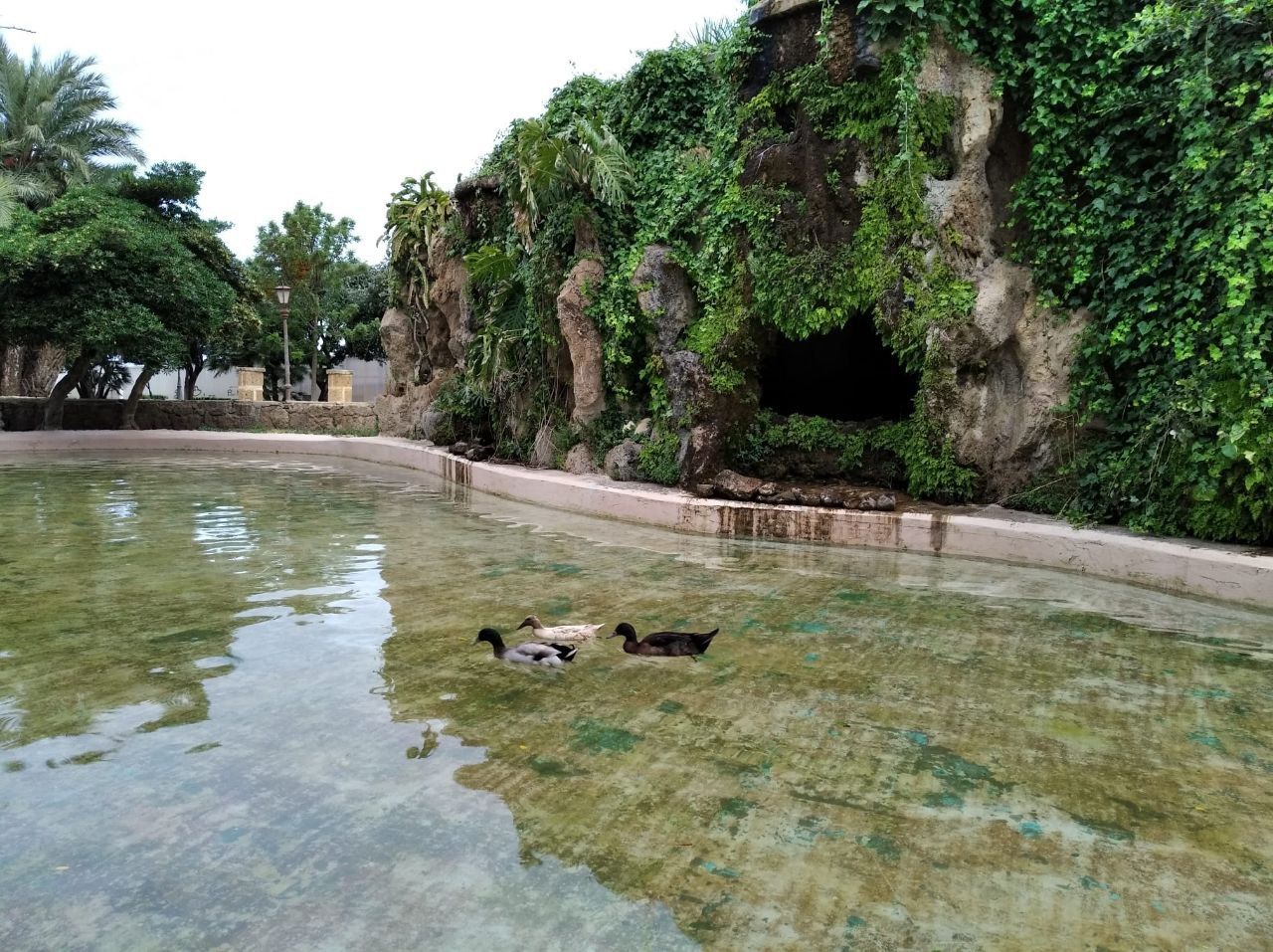 Siete patos no autóctonos son trasladados a la Cañada de los Pájaros de Sevilla.