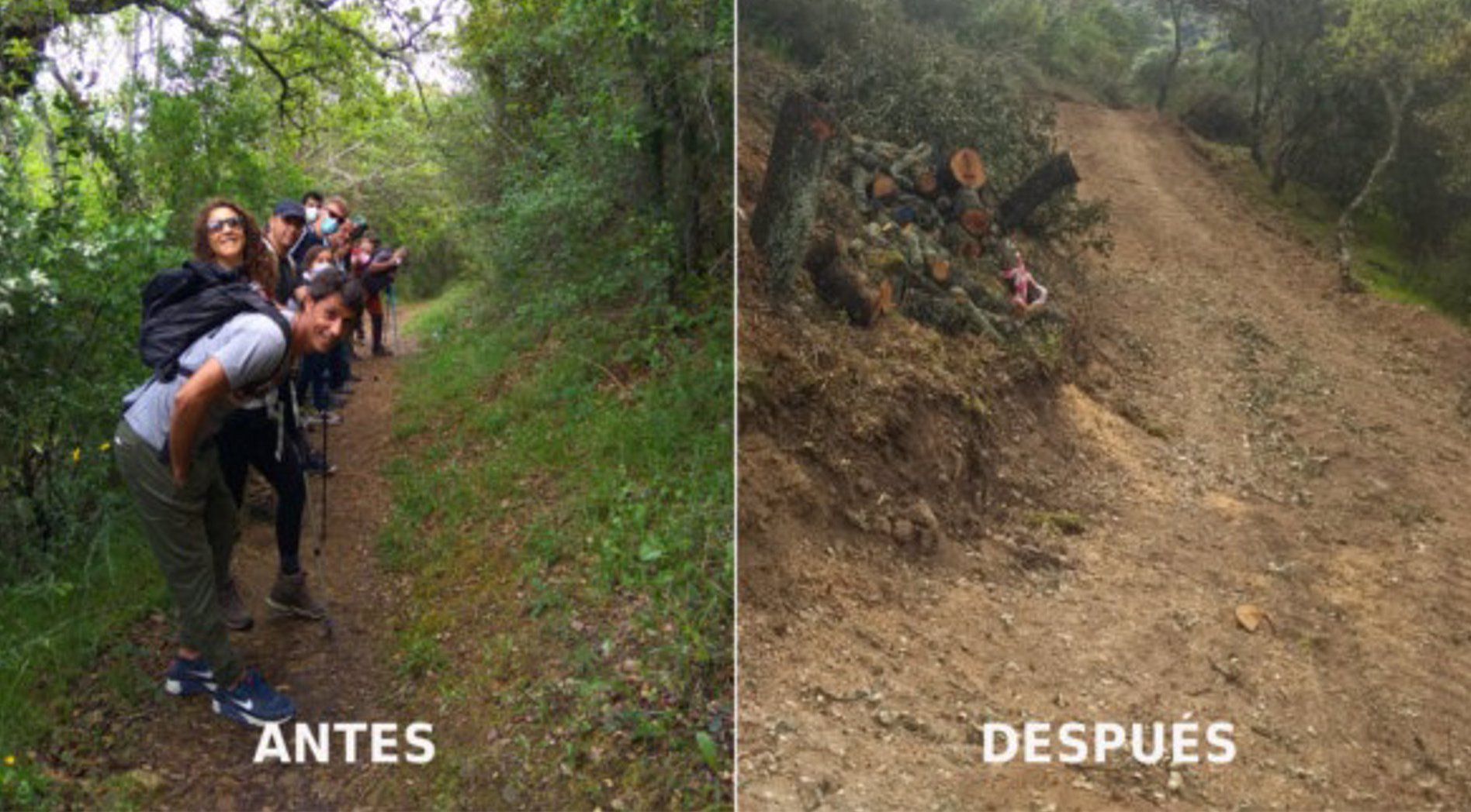 Montaje de los ecologistas para mostrar la actuación en la vía pecuaria del Huéznar.