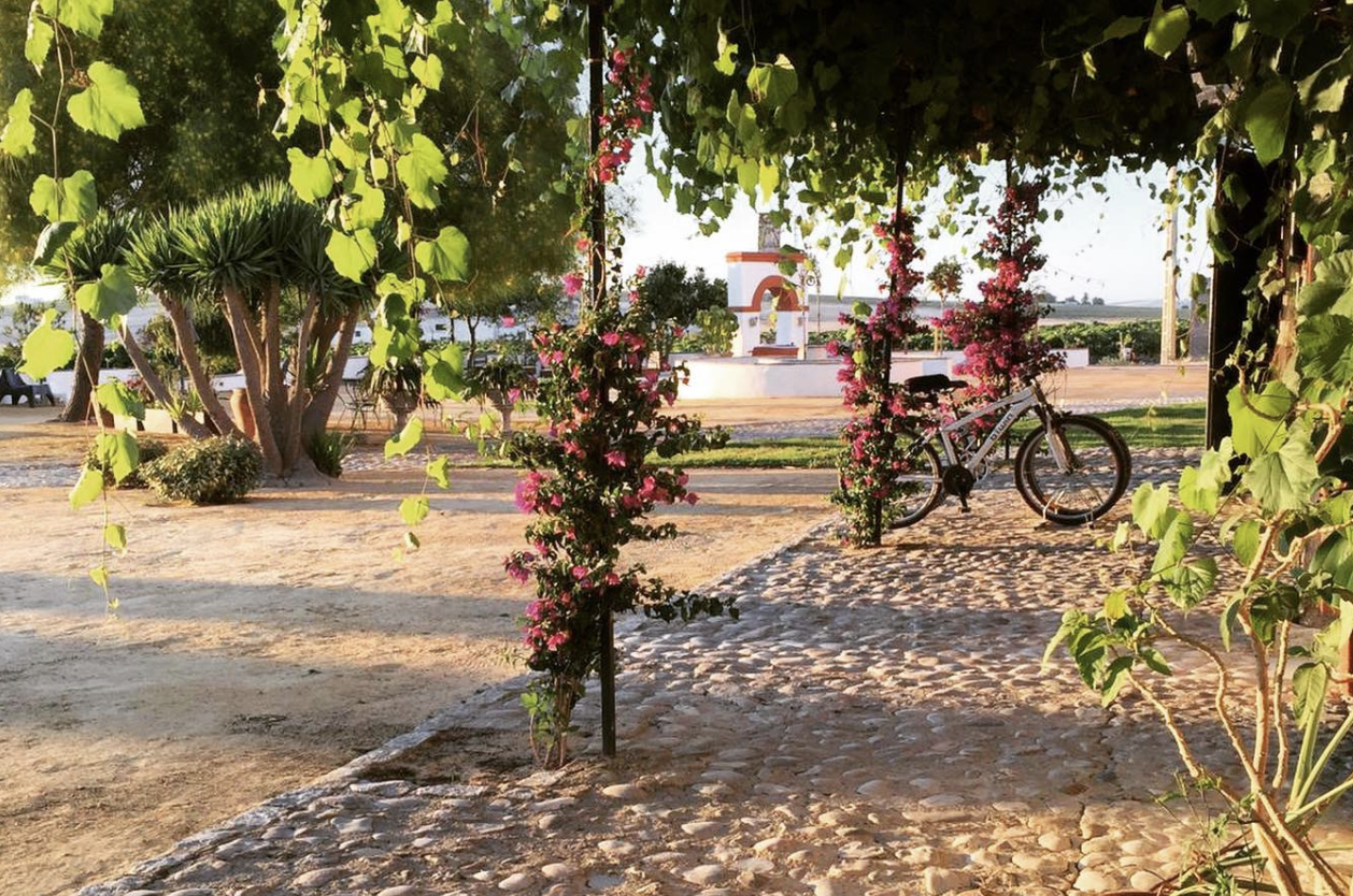 El impresionante espacio en el que se ubica La Bendita Locura, en El Puerto.