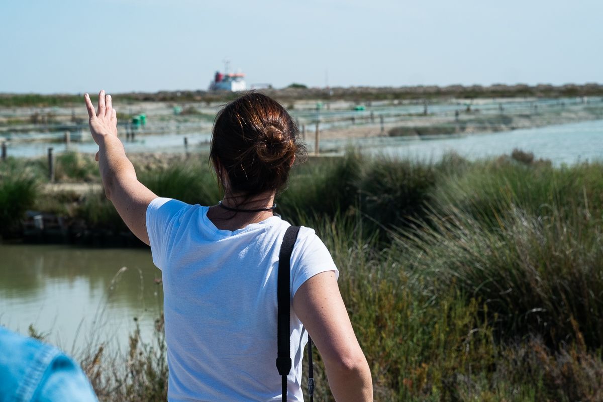 Planes para hacer por el mes de los esteros.
