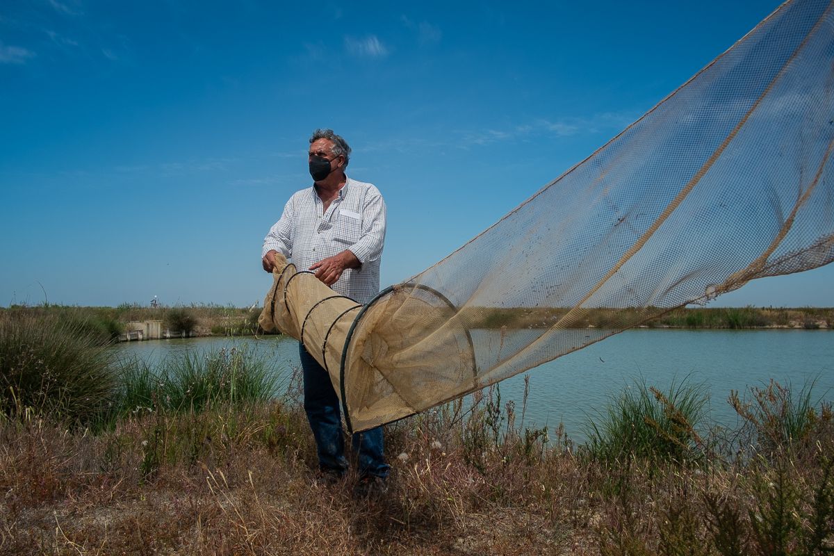 tres60 ESTEROS TREBUJENA 26