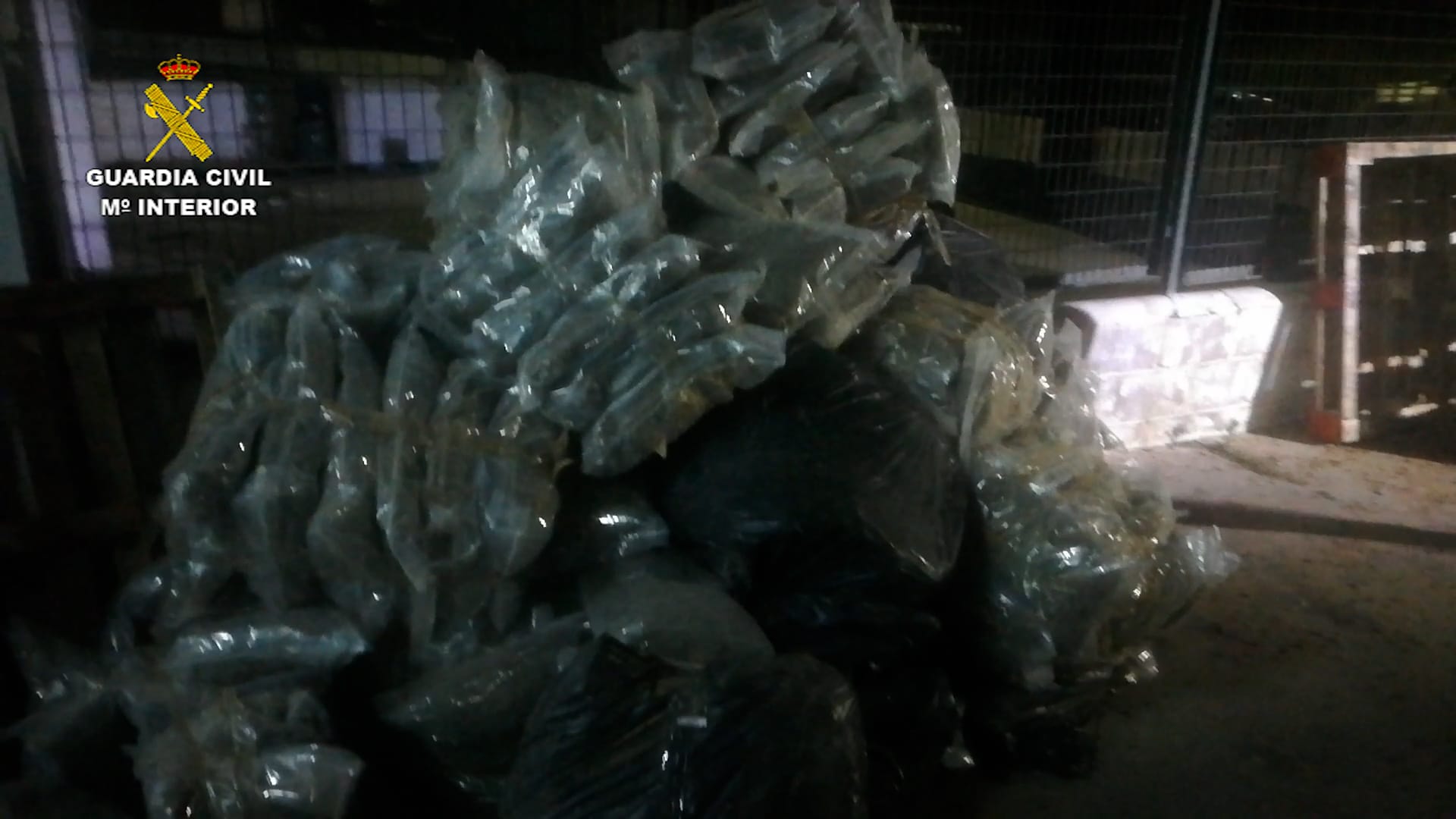 La operación contra el tráfico de marihuana en el polígono El Portal. La operación contra el tráfico de marihuana en el polígono El Portal.