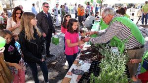 Intermón_0002-300x168