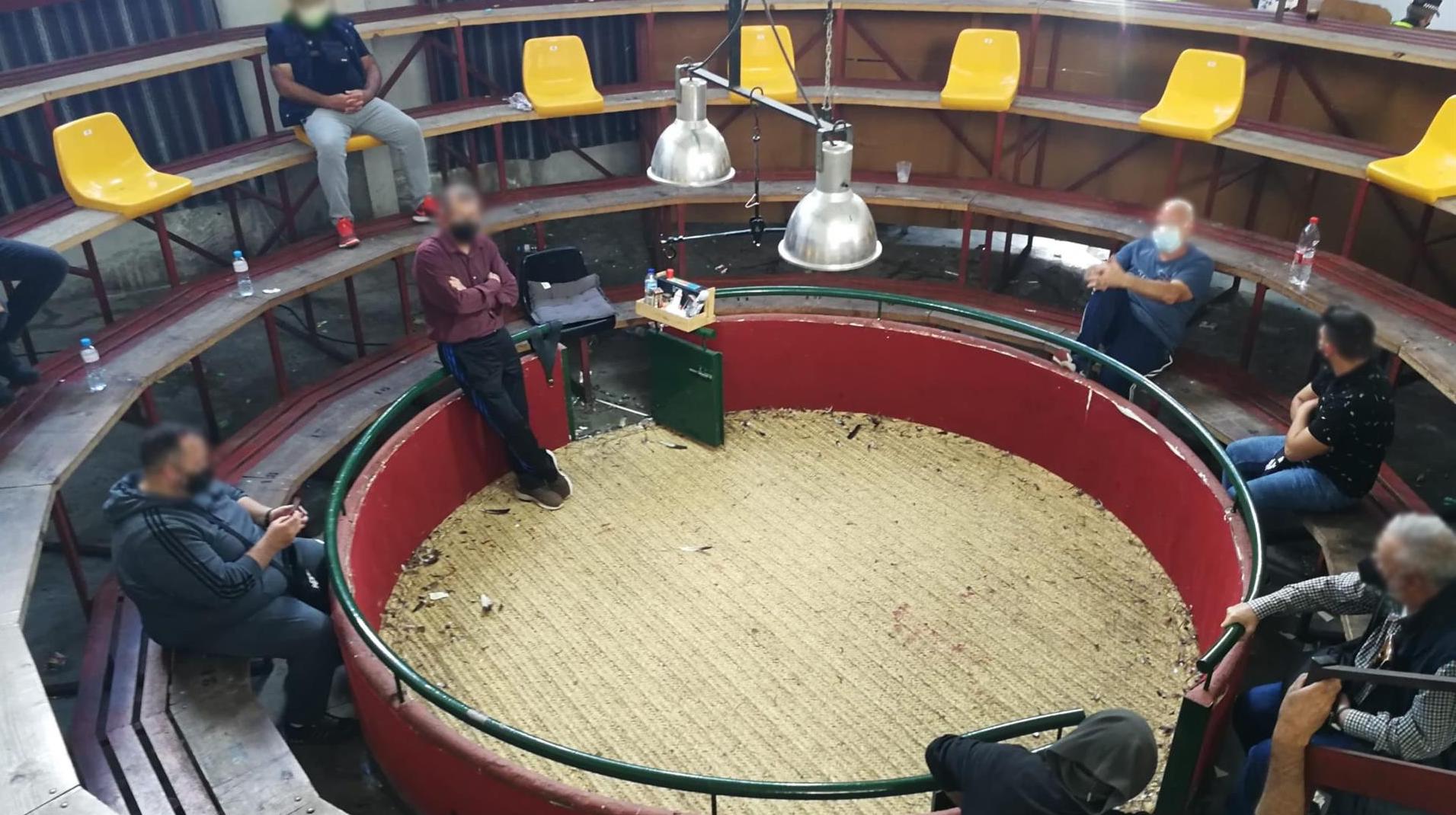 Reñidero de gallos desalojado en Utrera.