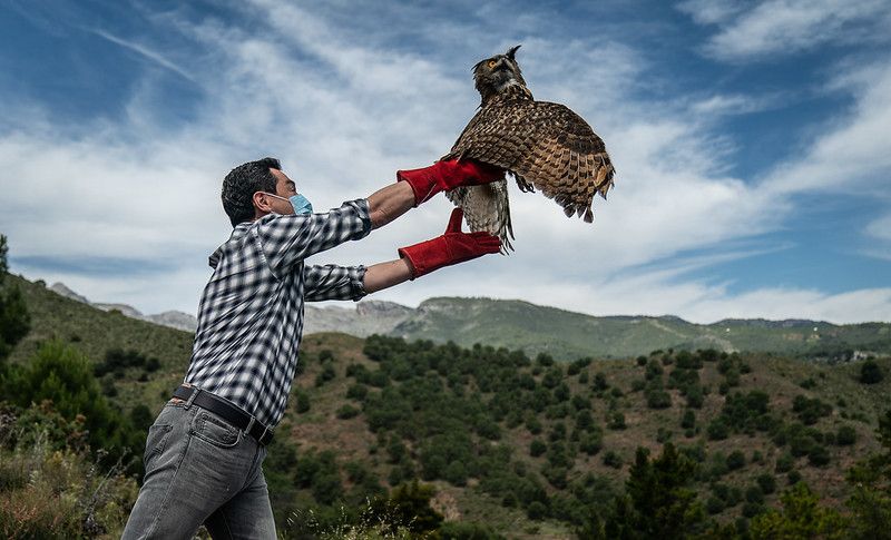 El presidente de la Junta de Andalucía, Juan Manuel Moreno, en una imagen reciente. El presidente de la Junta de Andalucía, Juan Manuel Moreno, en una imagen reciente.