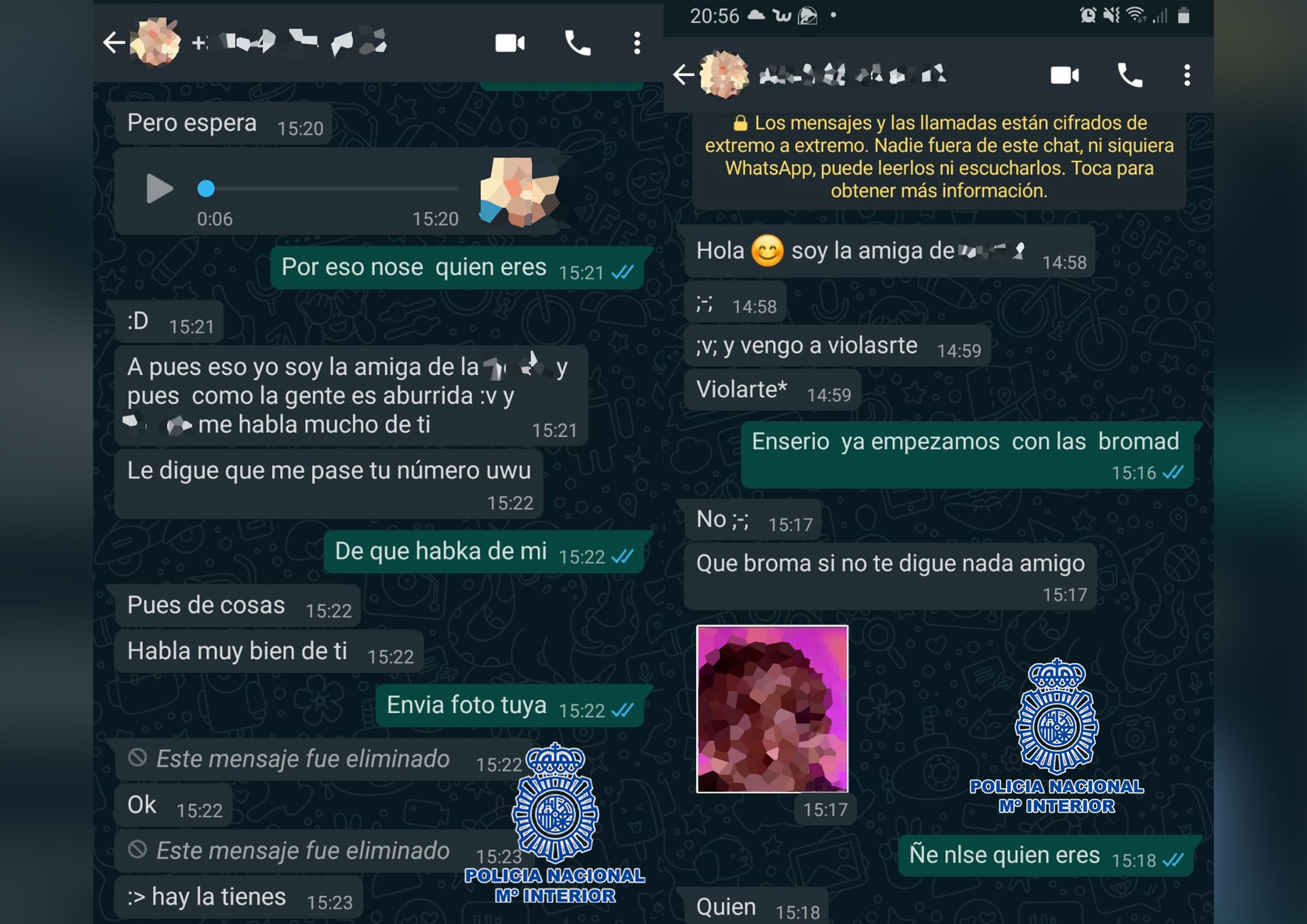 Mensajes entre el "depredador sexual" y una de sus víctimas.