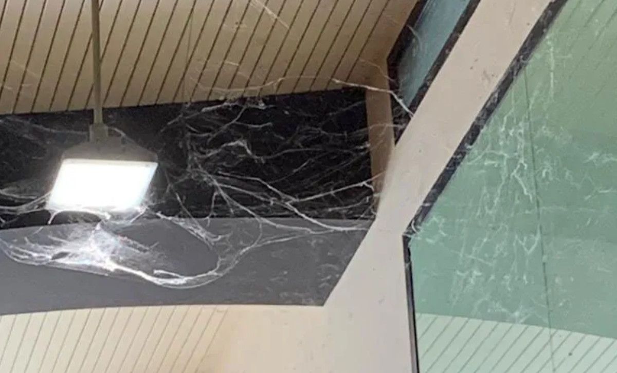 Techo del Mercado de Abastos de Chiclana.