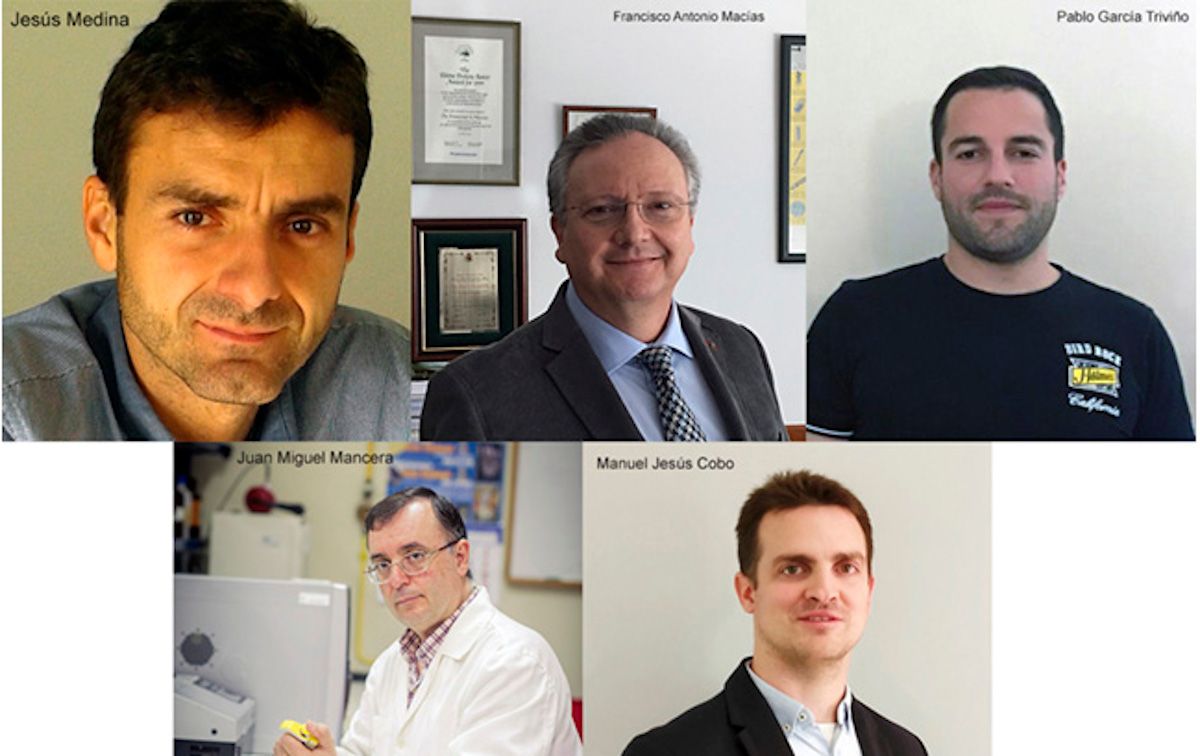 Cinco investigadores de la Universidad de Cádiz.