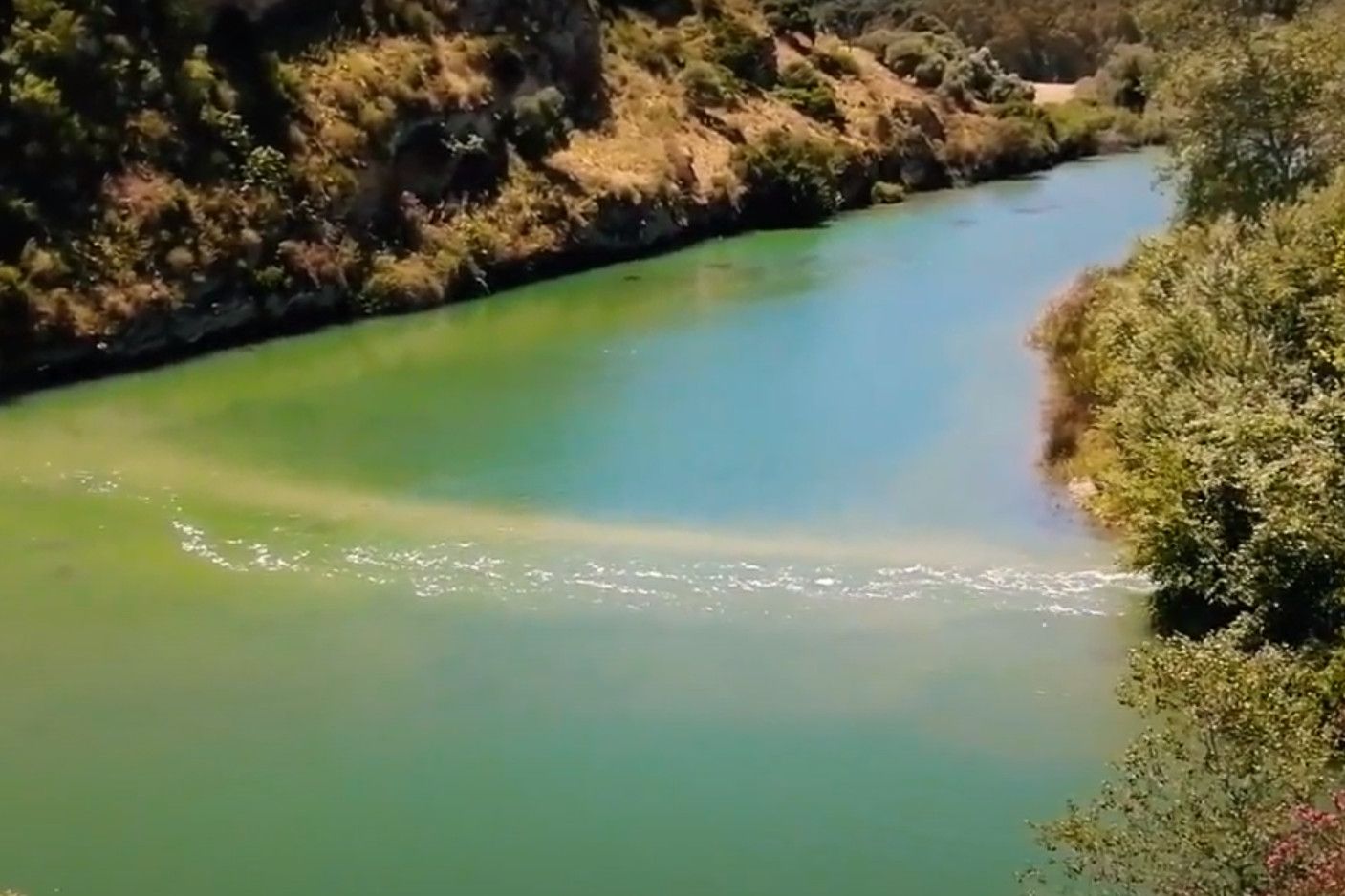 Vertidos al Guadalete denunciados por Ecologistas.