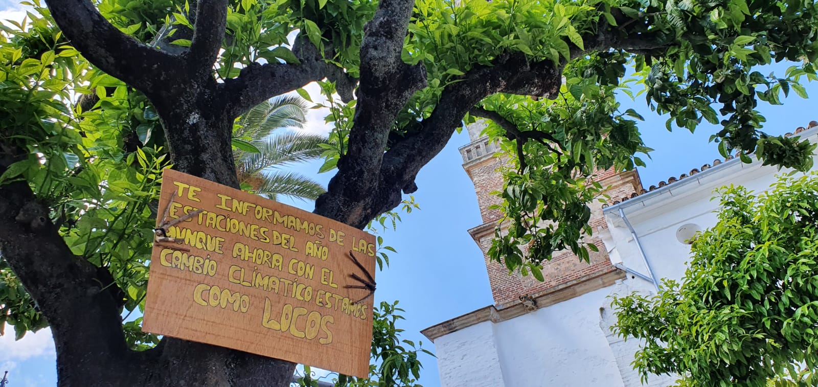 Mensaje en un árbol del municipio sevillano.