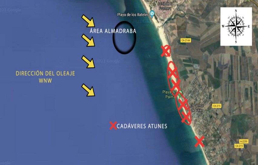 Localización de atunes muertos en la orilla de El Palmar.