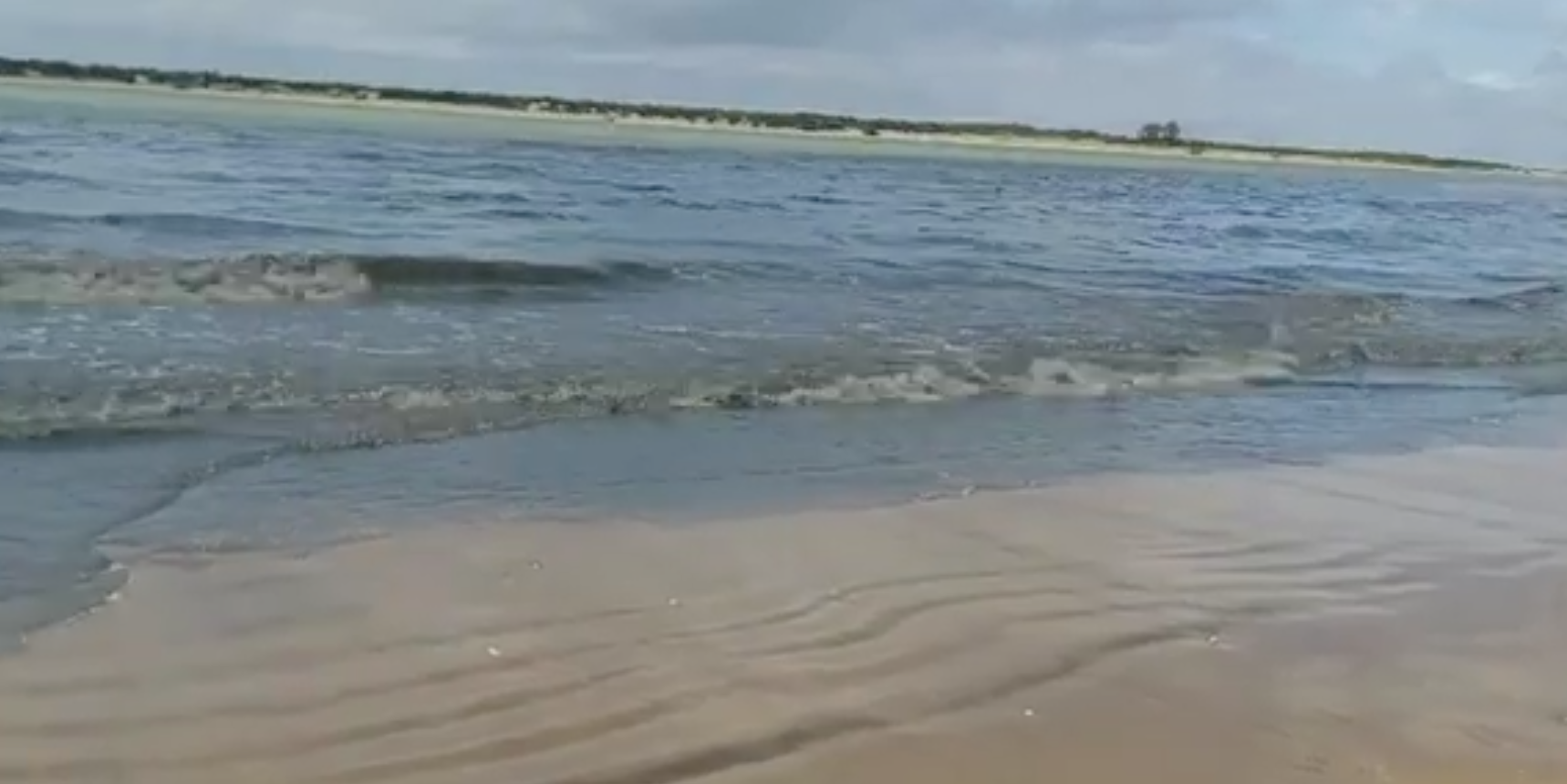 Vertidos residuales en una playa de Sanlúcar.