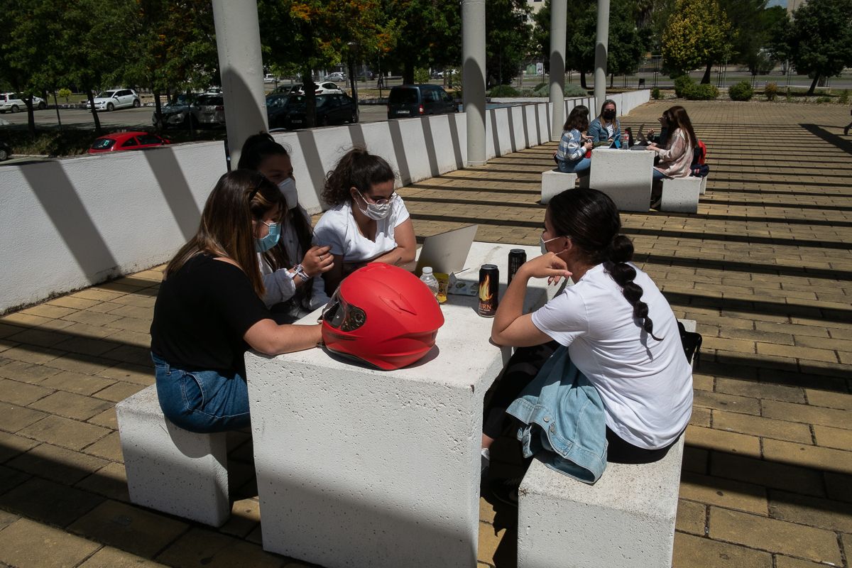 Más listos, pero con subido de peso para los universitarios. Más listos, pero con subido de peso para los universitarios.