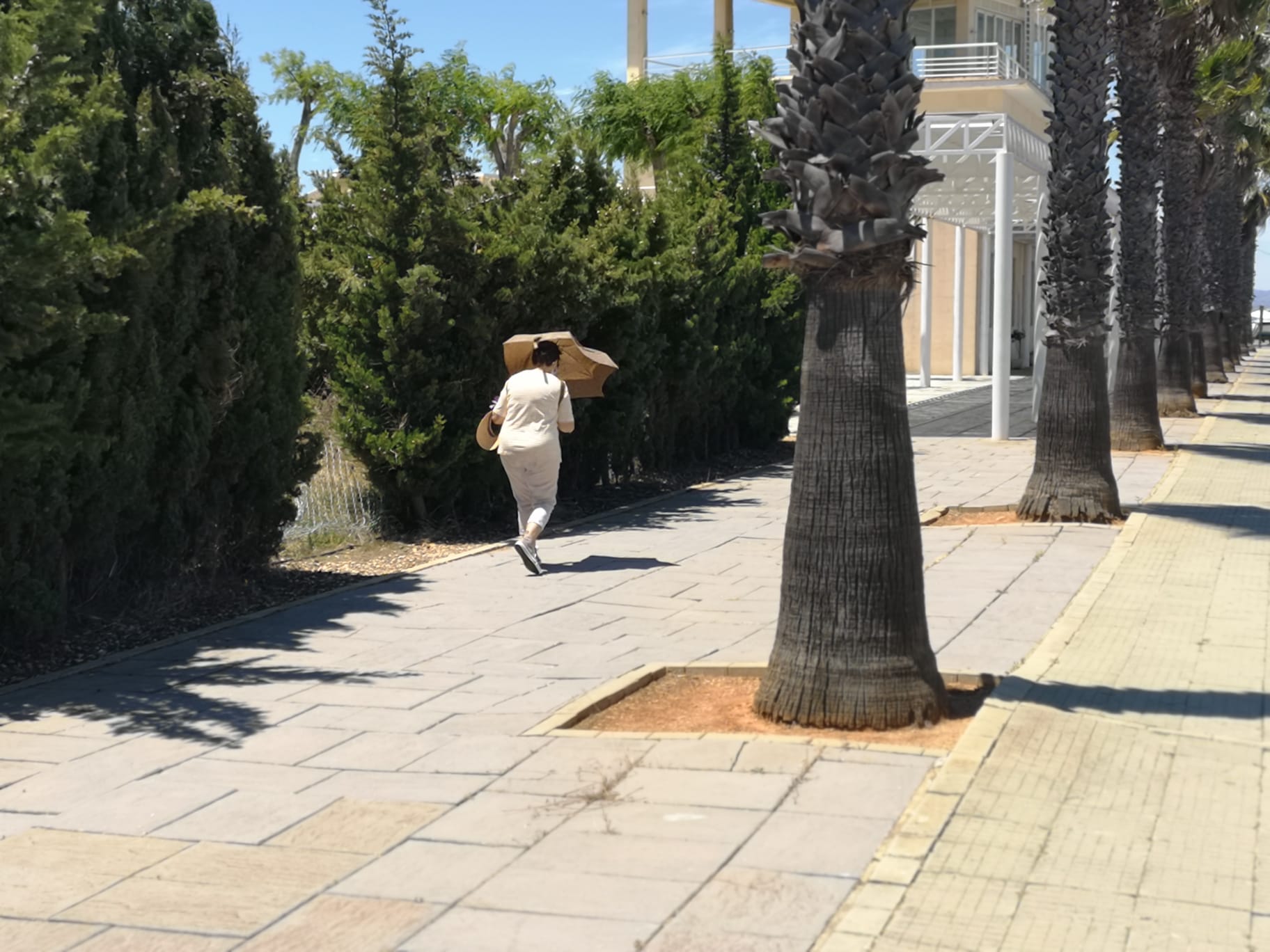 Mujer con paraguas frente a sol y con sombra, un bien escaso.