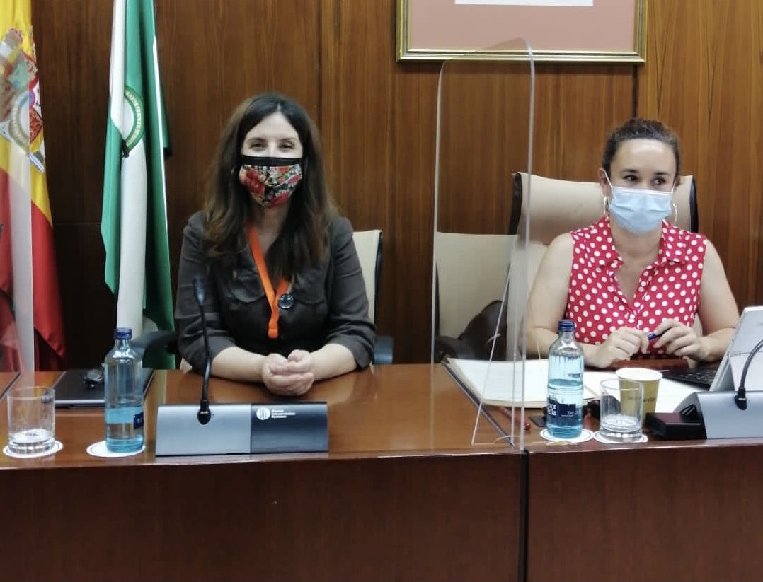 La presidenta de la Codapa, Leticia Vázquez, en la comisión de Educación, hablando de la Ley de autoridad del profesorado.