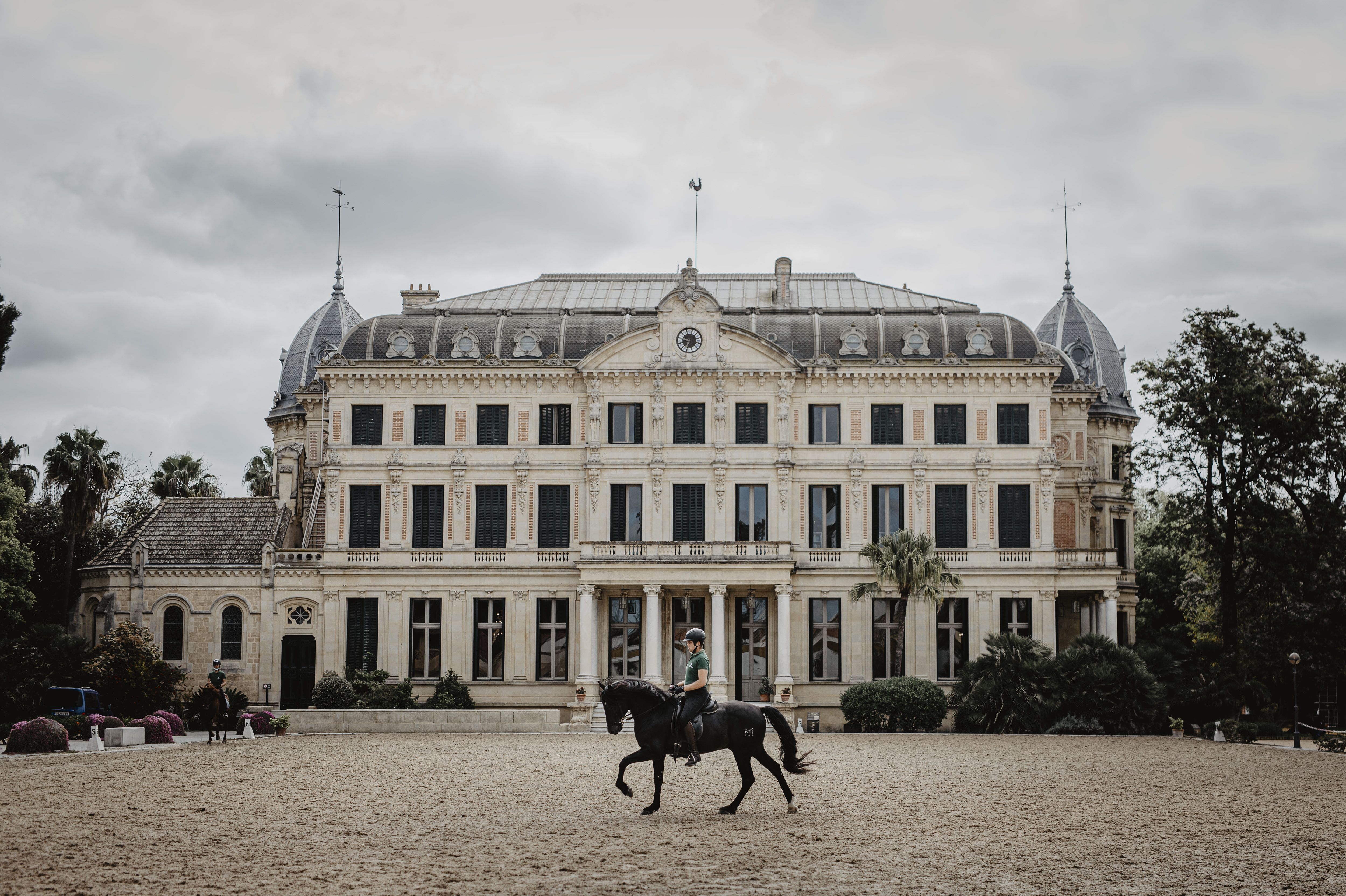 Un jinete en el picadero al aire libre de la Real Escuela Andaluza del Arte Ecuestre.