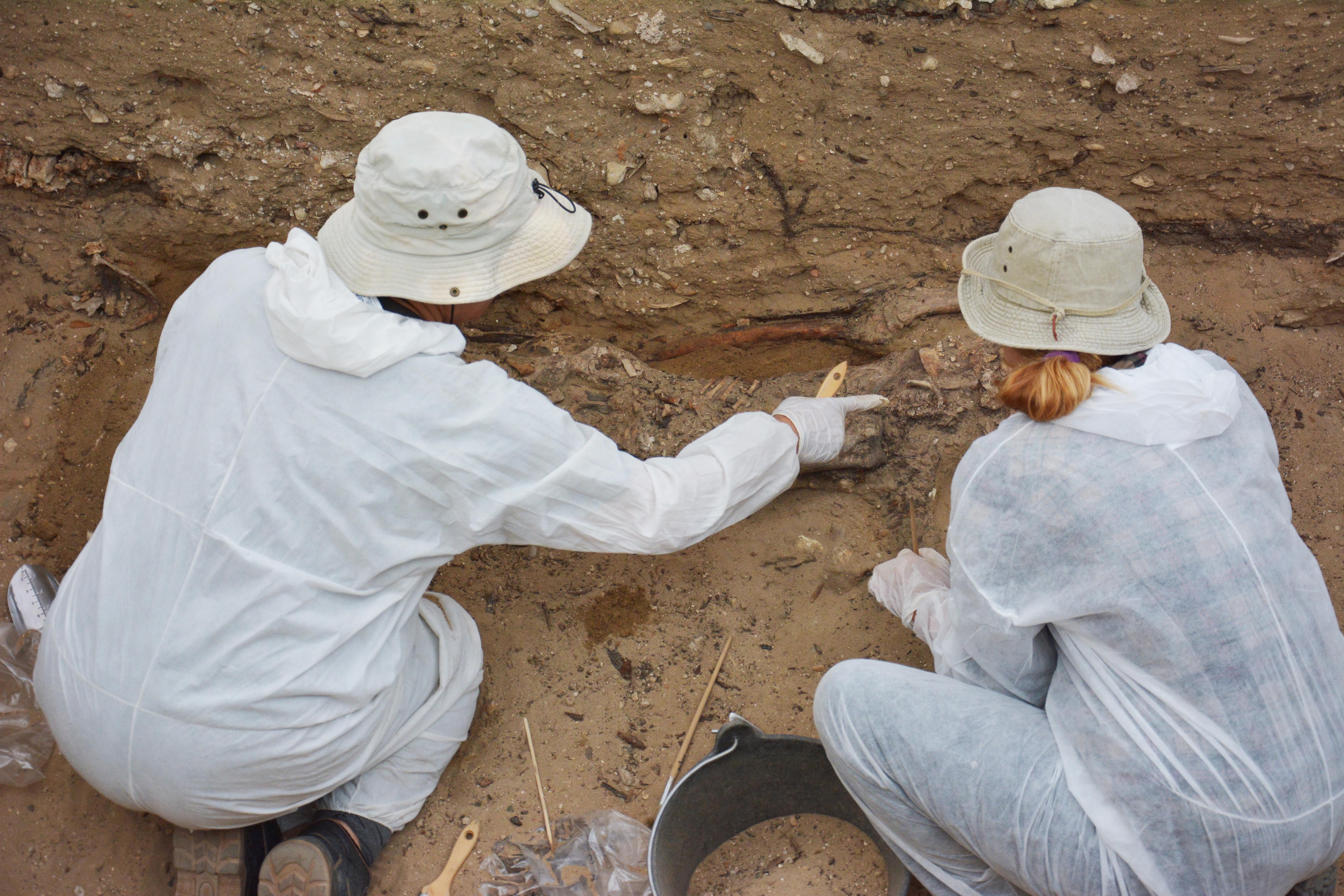 Los arqueólogos Juan Manuel Guijo y María Isabel Gómez trabajan en la exhumación de uno de los restos de los represaliados de la fosa común del cementerio de Cádiz. FOTO: E. ESCORIZA.