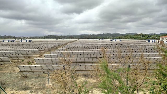 Un campo lleno de placas fotovoltaicas.