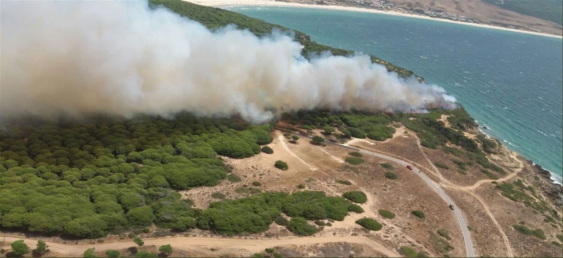 Incendio en el paraje Punta Camarinal en Tarifa. FOTO: INFOCA. 