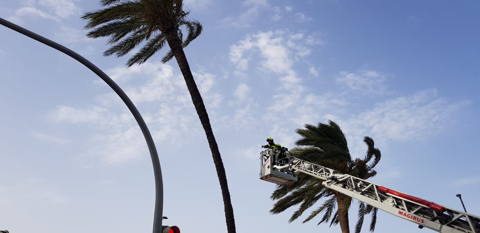 Riesgo naranja en Cádiz este miércoles por vientos de Levante de hasta 80 kilómetros por hora. Intervención de los bomberos en la retirada de una palmera que amenazaba con desprenderse en una foto de archivo. FOTO: BOMBEROS CÁDIZ.