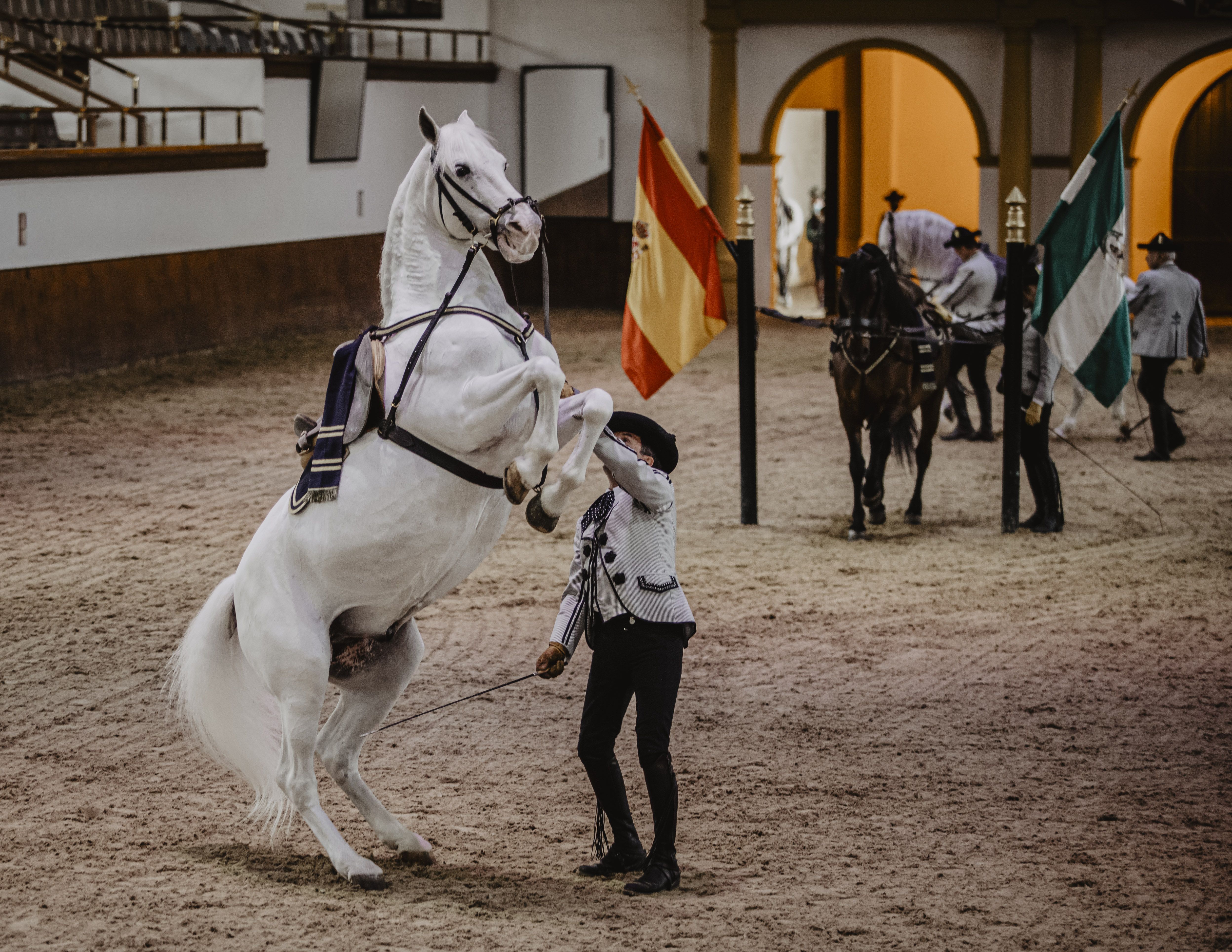 Un caballo ejecutando una elevada durante el espectáculo.     ESTEBAN