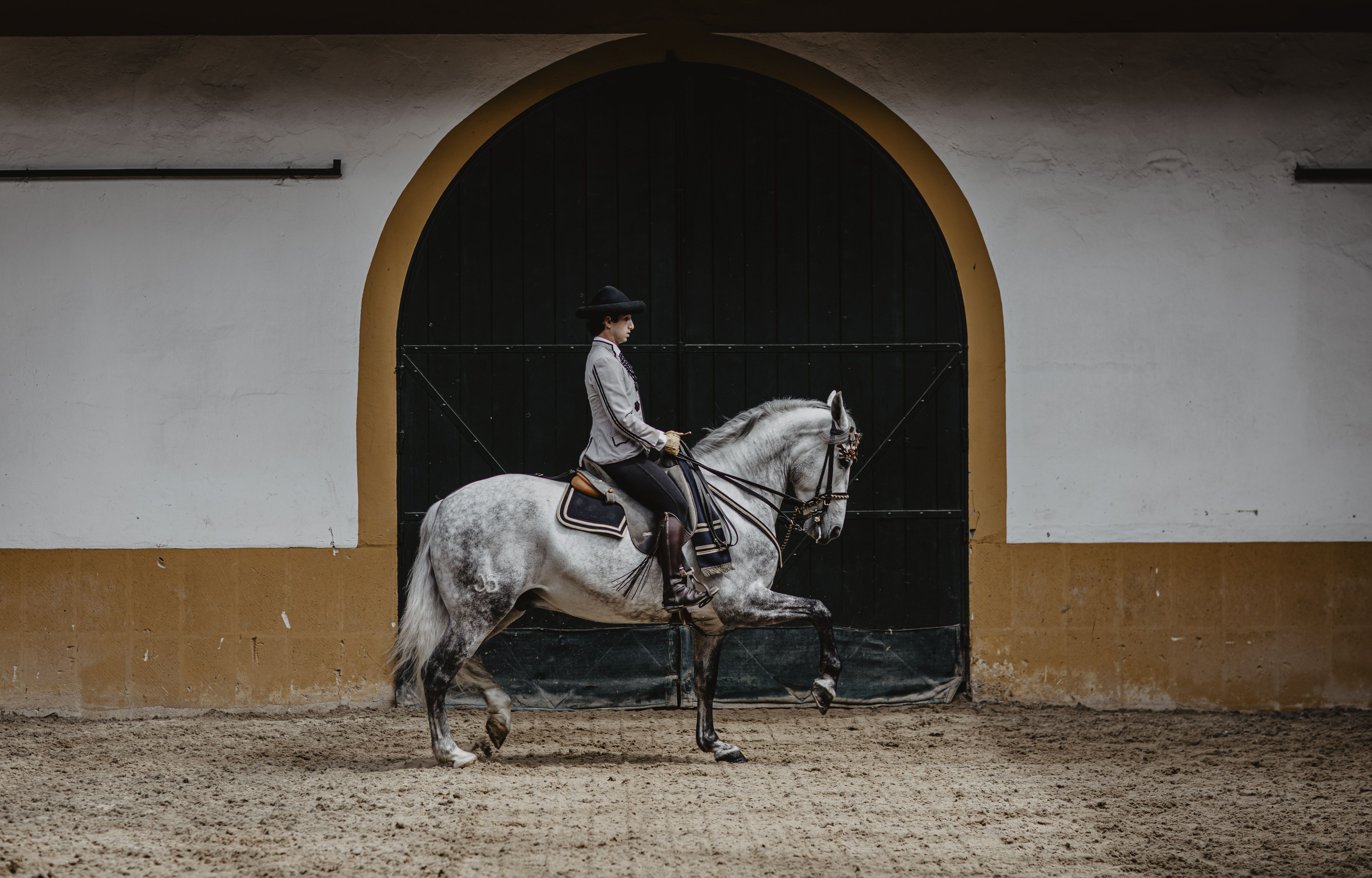 Binomio de la Real Escuela al paso en la antesala de acceso al picadero.