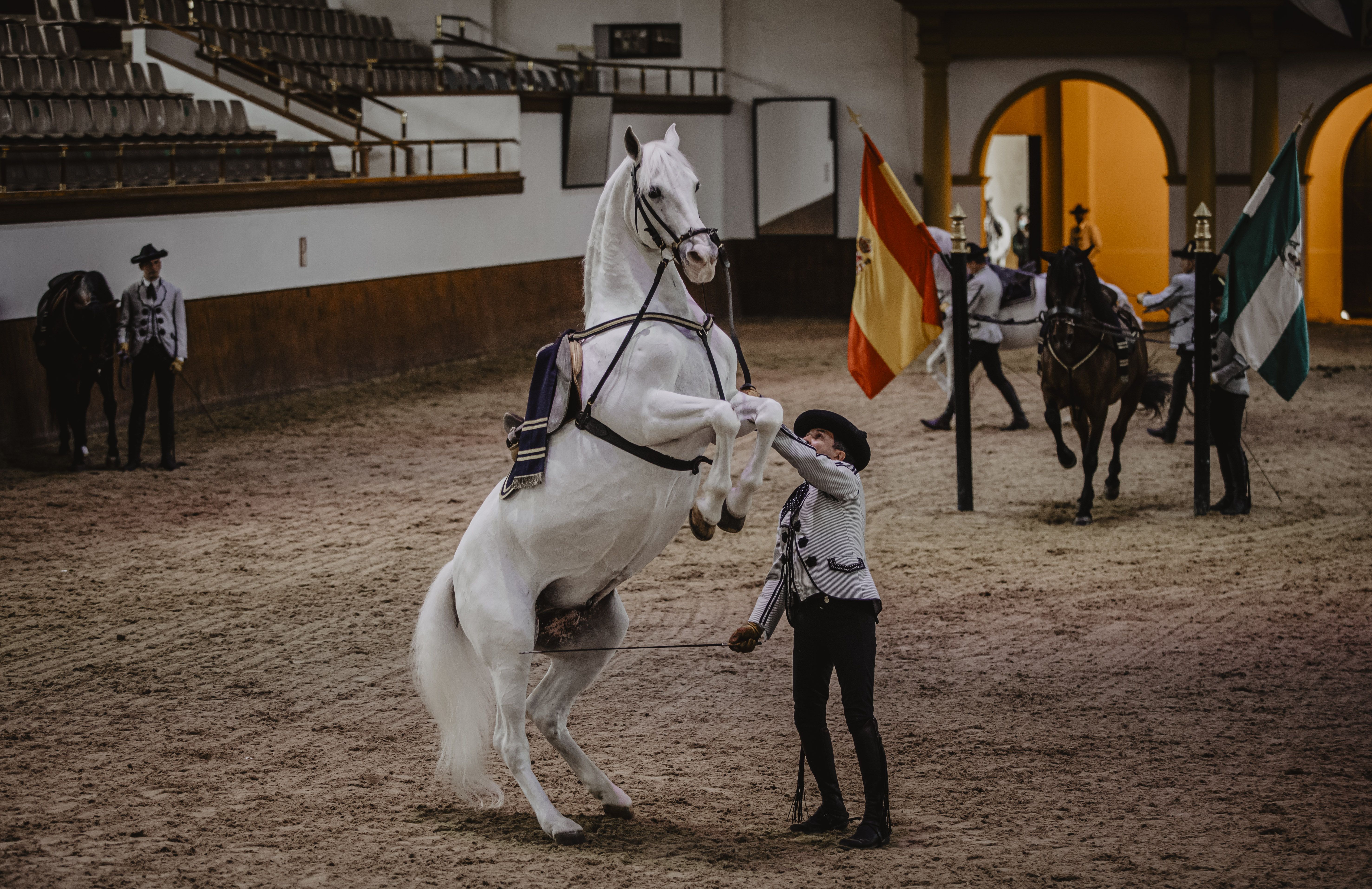 Un espectáculo de la Real Escuela, en Jerez, entre lo más destacado para 'The Times'.