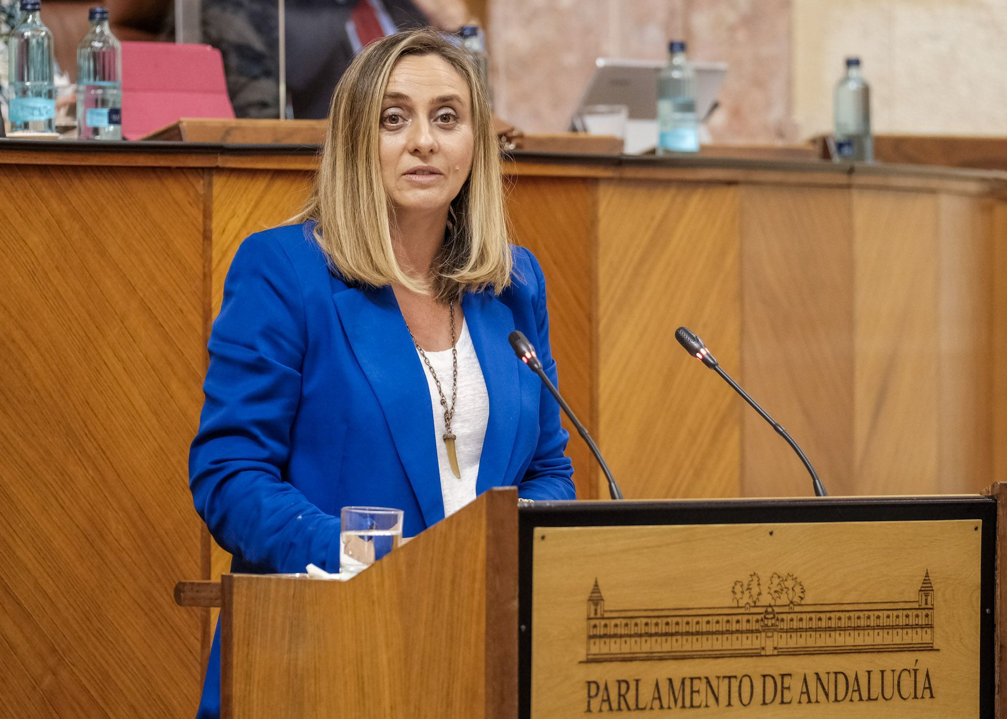 La consejera de Fomento, Marifrán Carazo, en una imagen de archivo.