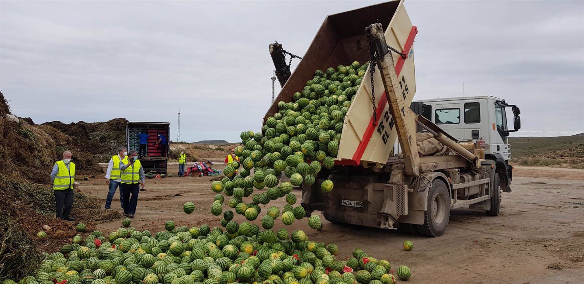 Productores almerienses tiran más de 150 toneladas de melón y sandía aptas para el consumo.
