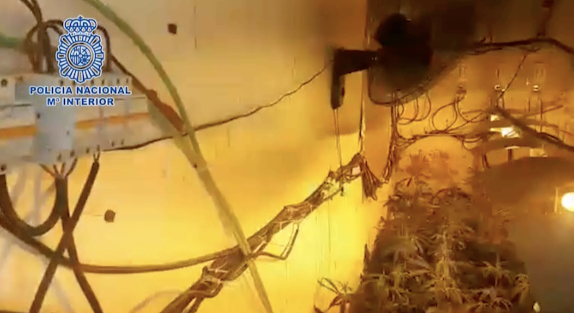 Una de las habitaciones con plantación de cannabis en Jerez.