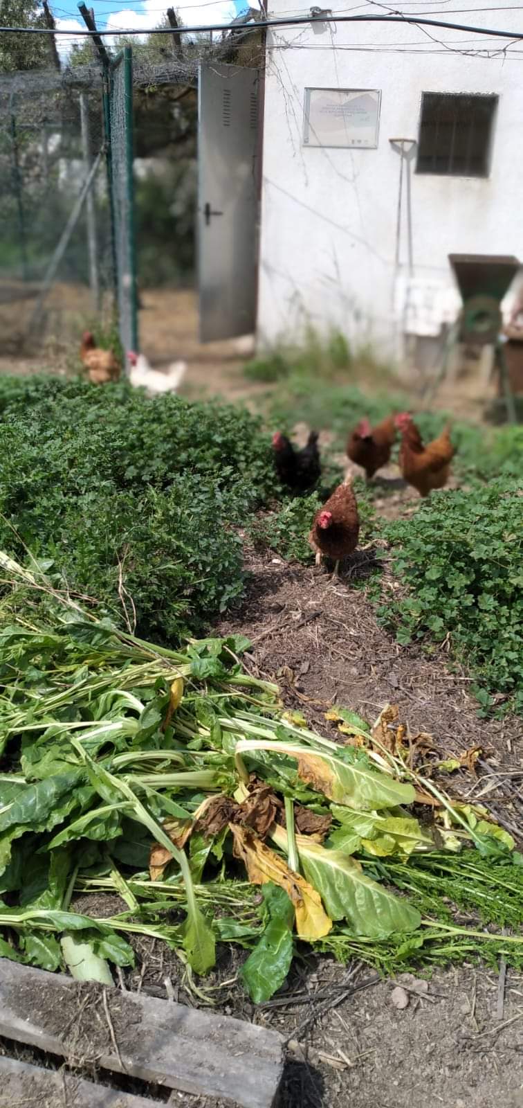 WhatsApp Image 2021 05 31 at 20.01.13