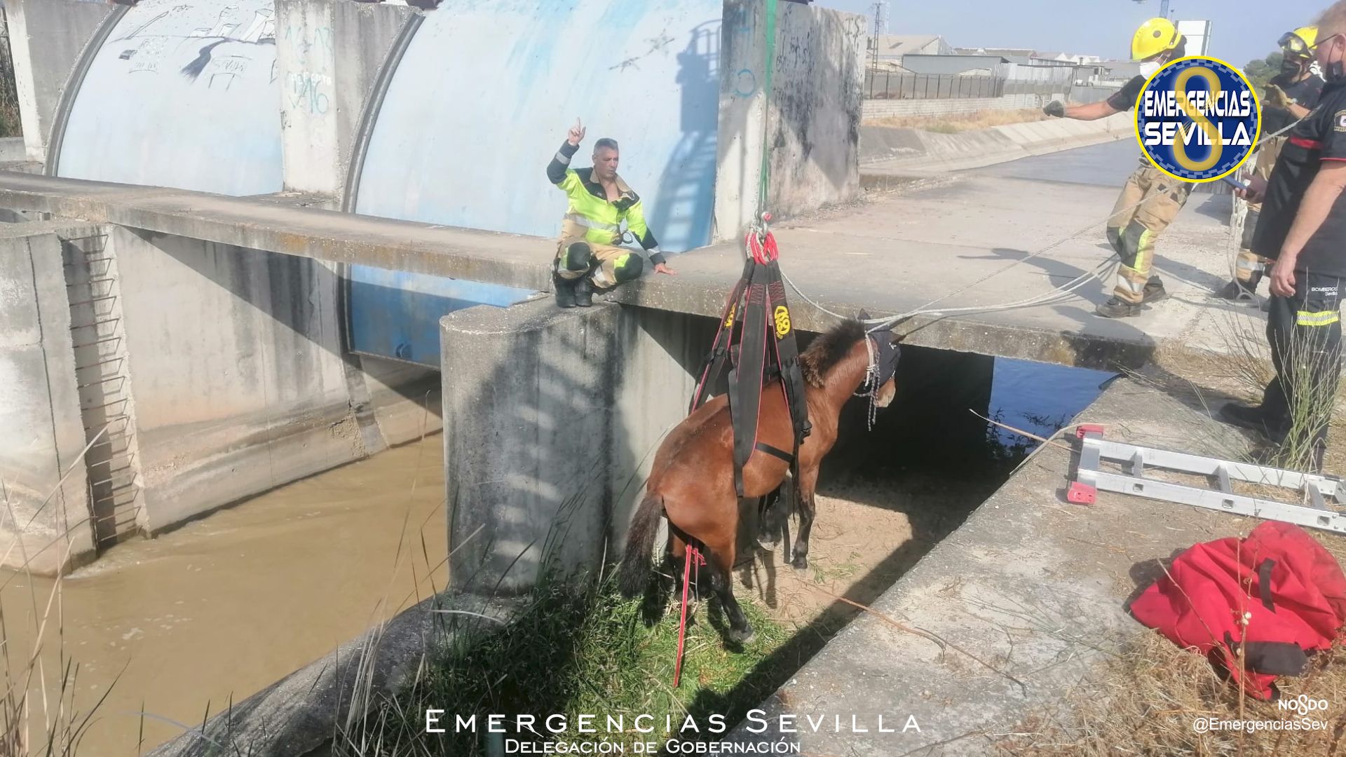 El rescate del caballo en Torreblanca, en una imagen de Emergencias Sevilla.