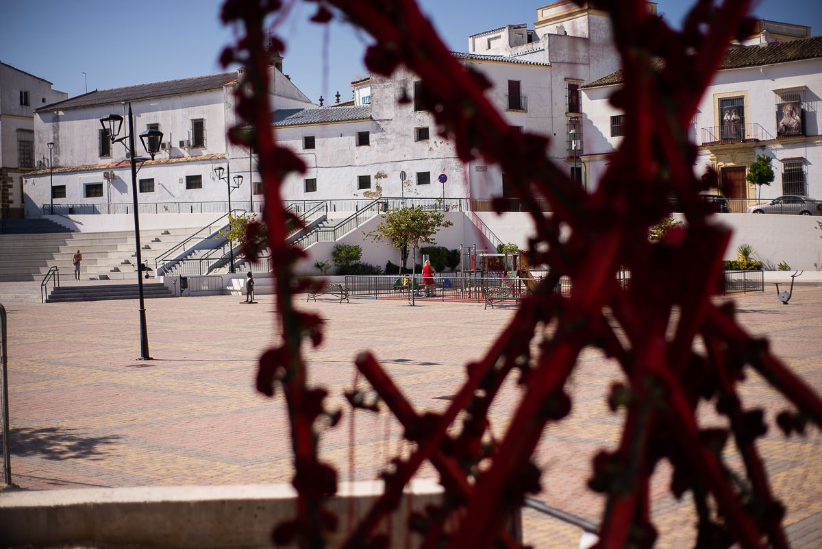 PLAZA BELEN ENEA LA FARAONA FLORES 5