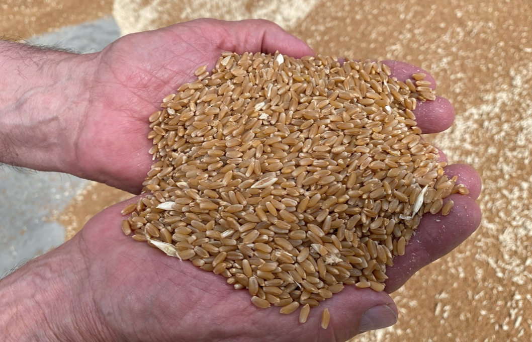 Captura de pantalla 2021 06 05 a las 9.18.34