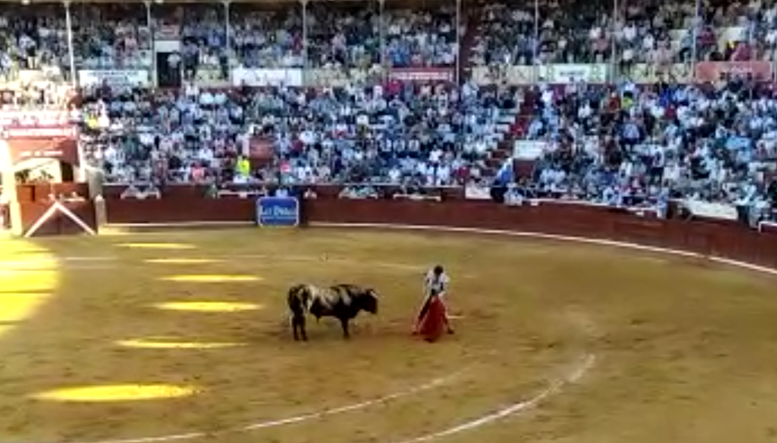 El ex portavoz de Vox en Sanlúcar denuncia una corrida de toros "sin control ninguno" y exceso de aforo.