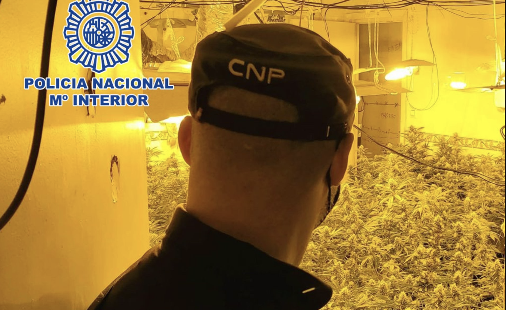 Cultivo, venta y consumo de marihuana en un 'narcobloque' controlado por cuatro clanes en el centro de El Ejido.