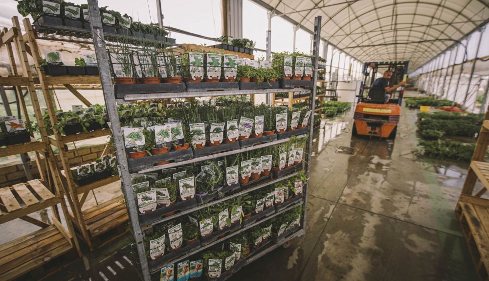 HUERTO DEL ABUELO CONIL ESTEBAN 001