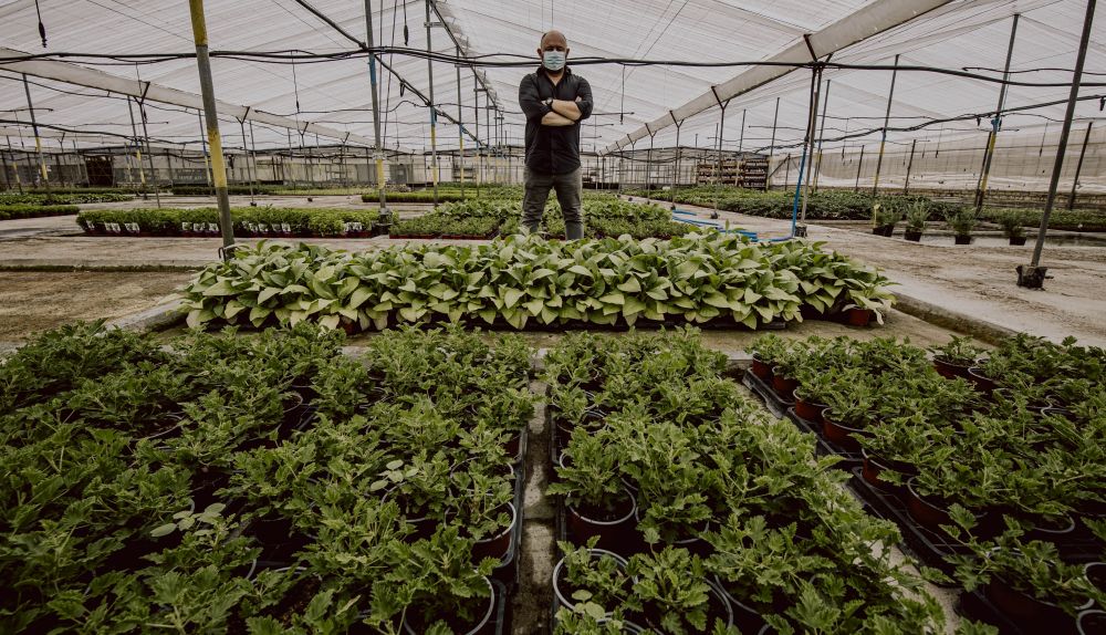 HUERTO DEL ABUELO CONIL ESTEBAN 005