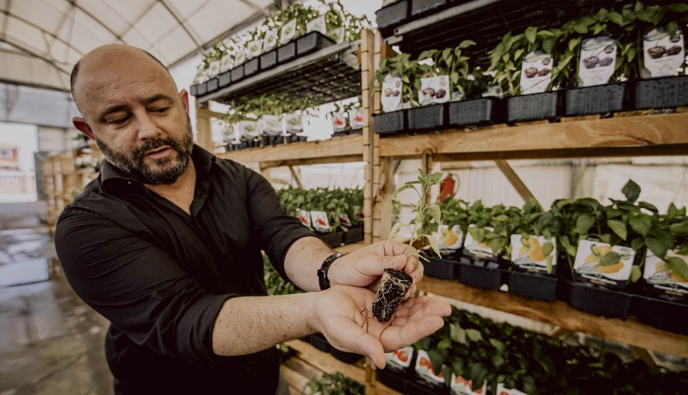 HUERTO DEL ABUELO CONIL ESTEBAN 007