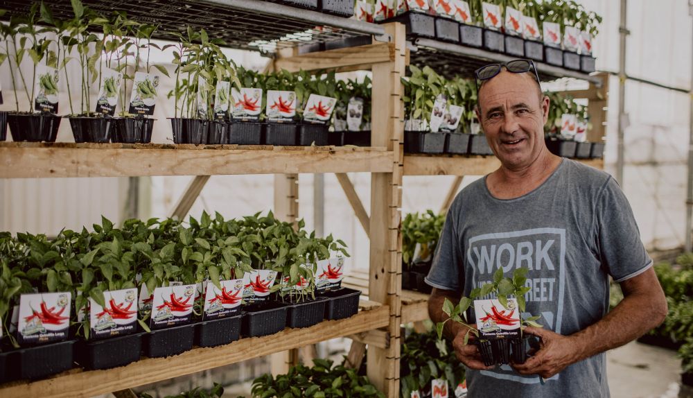 HUERTO DEL ABUELO CONIL ESTEBAN 013