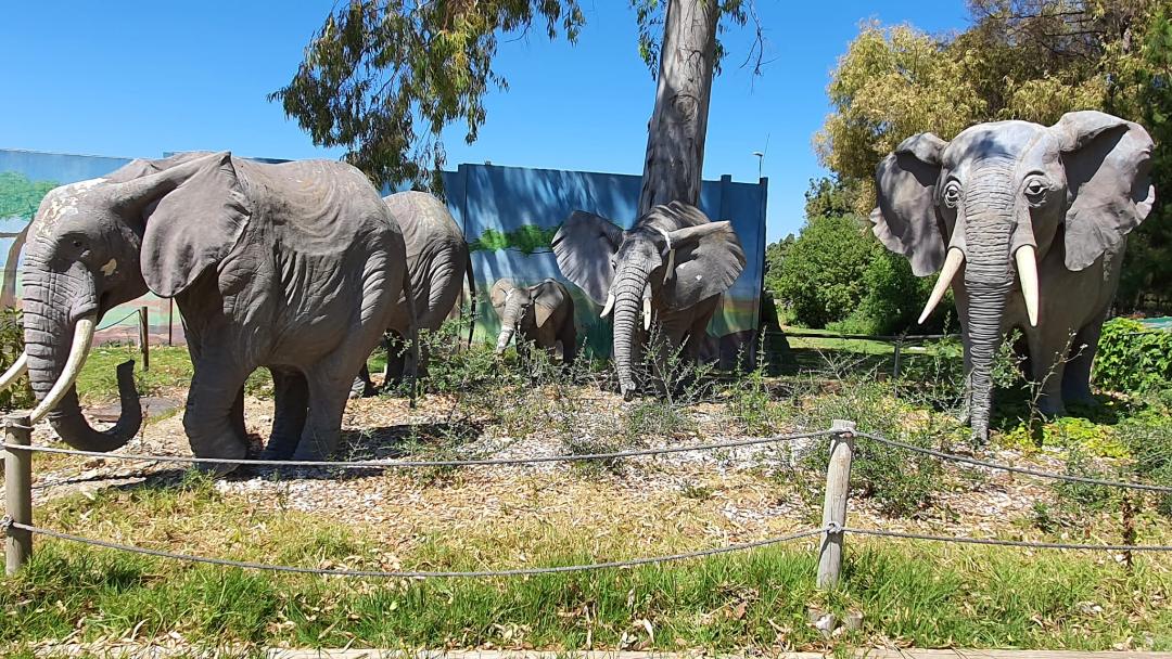 El grupo de elefantes que desde ahora da la bienvenida a los pequeños en el Zoo de Jerez.